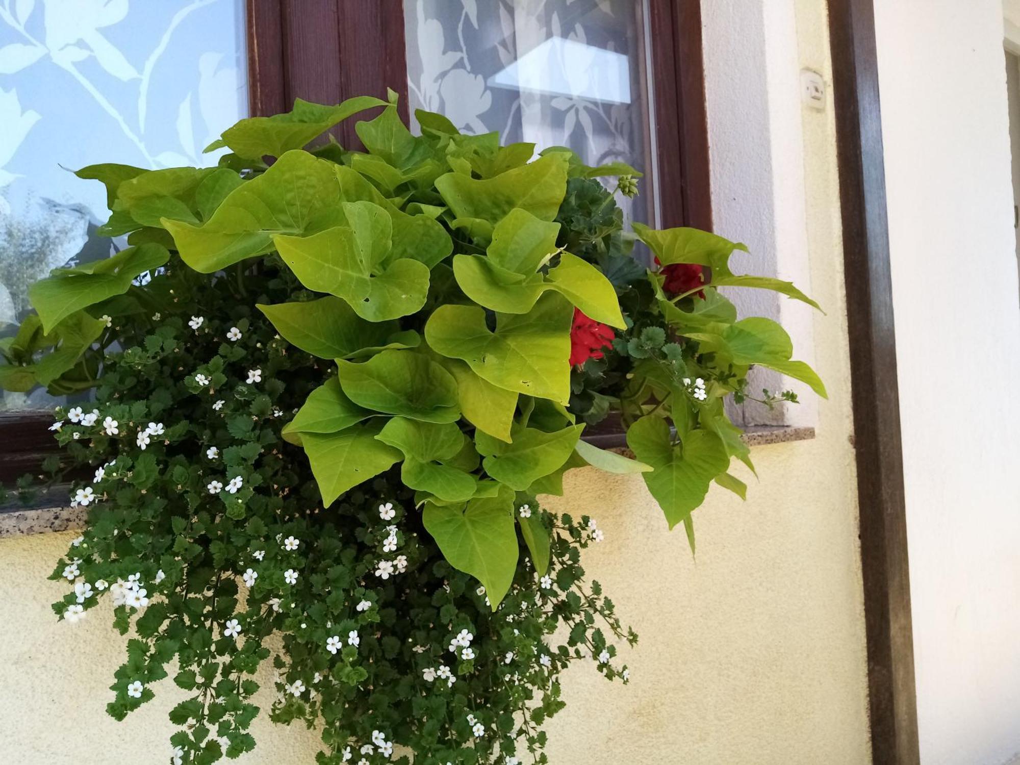 House Josipa Hotel Rakovica Exterior photo